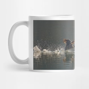 Coot in a hurry Mug